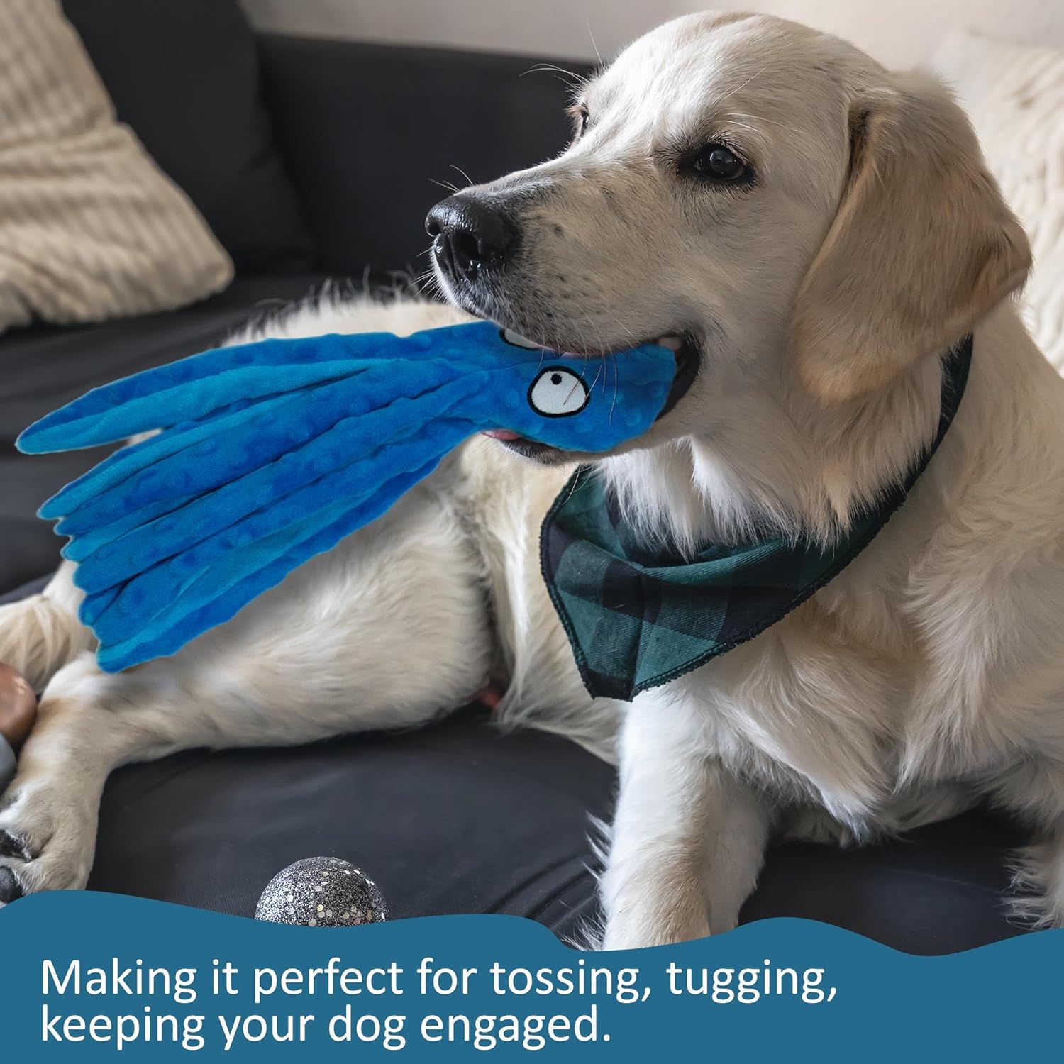 Paw-Some Deal: 3 Dog Toys for The Price of 1 - Perfect for Small Dogs and Puppies. Tough Durable Squeaky - No Stuffing Squeaky, Ideal for Teeth Cleaning